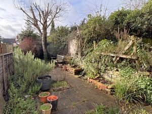 Garden - click for photo gallery